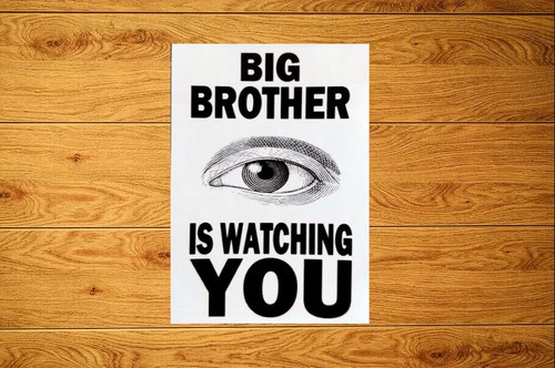 Confezioni adesivi big brother - adesivi,