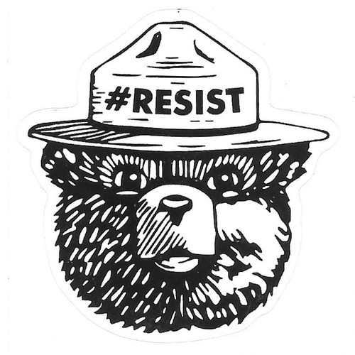 Adesivo vinile smokey bear - adesivo,